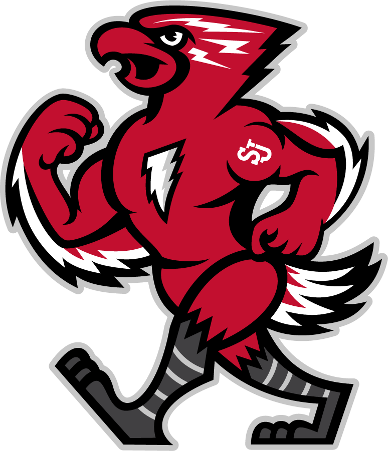 St. John's Red Storm 2013-2015 Mascot Logo iron on transfers for T-shirts